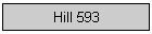 Hill 593