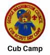 Cub Day Patch