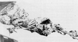 Remains of the supposed Lindbergh Baby