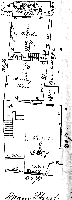 plan of 1st floor