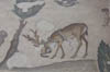 stag and snake