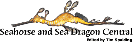Seahorse and Sea Dragon Central; edited by Tim Spalding