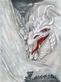 The White Dragon by Molly Barr