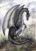 Black Dragon by Morion