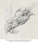 Dragon Head by Silas Toball