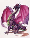 Amethyst Dragon by Staney Morrison