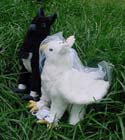 wedding couple gryphons by Alicia Hamm 
