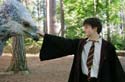 Harry makes friends with the hippogriff