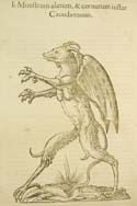 iMonstrum alatum et cornutum instar cacodaemonisi Winged and horned monster the size of an evil-demon