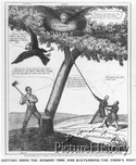 Cutting Down the Hickory Tree and Disturbing the Crow's Nest 