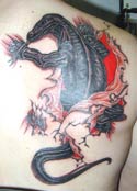 Komodo tattoo by Dan 