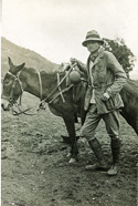 Peabody Museum Hiram Bingham III transported equipment and supplies to Machu Picchu by donkey