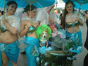  Coney Island Mermaid Paradebrmermaid family