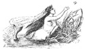 Vilhelm Pedersen c  illustrating Andersen's The Little Mermaid
