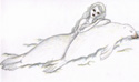Harp seal mermaid by Lauren Medusa Tregenza 
