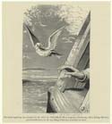Dove with olive branch returning to Noah's ark from the NY Public Library their guess is surely right