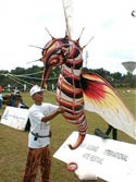 Malaysian kite