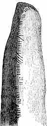 ogham stone