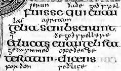 insular half uncial