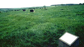 Wharram Percy