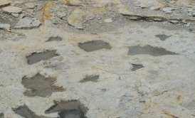 Two sets of dinosaur tracks