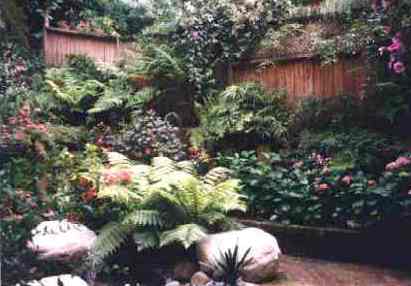 garden