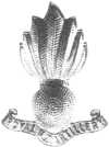 collar badge