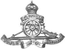 NZFAV badge