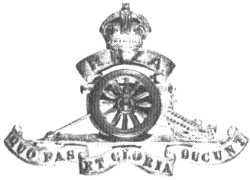 RNZA badge 1954