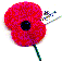 The Anzac Poppy is the symbol of Anzac Day in NZ