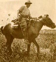 Richard Harding Davis on horseback