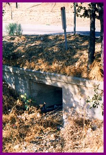 agoura-1924_culvert.jpg (34881 bytes)