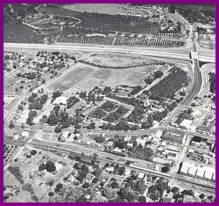 ortega_hwy_1959.jpg (48476 bytes)