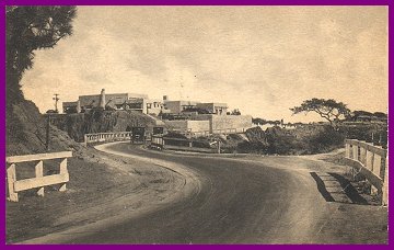 torrey_pines_lodge_on_very_old_postcard.jpg (25095 bytes)