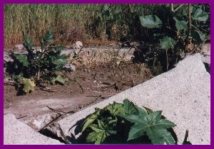 [Older alignment over 1920s pavement]