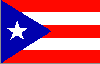 Vietnam War - Puerto Rico flag