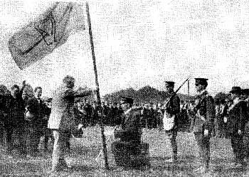 16th Irish Division: Volunteers' Flag